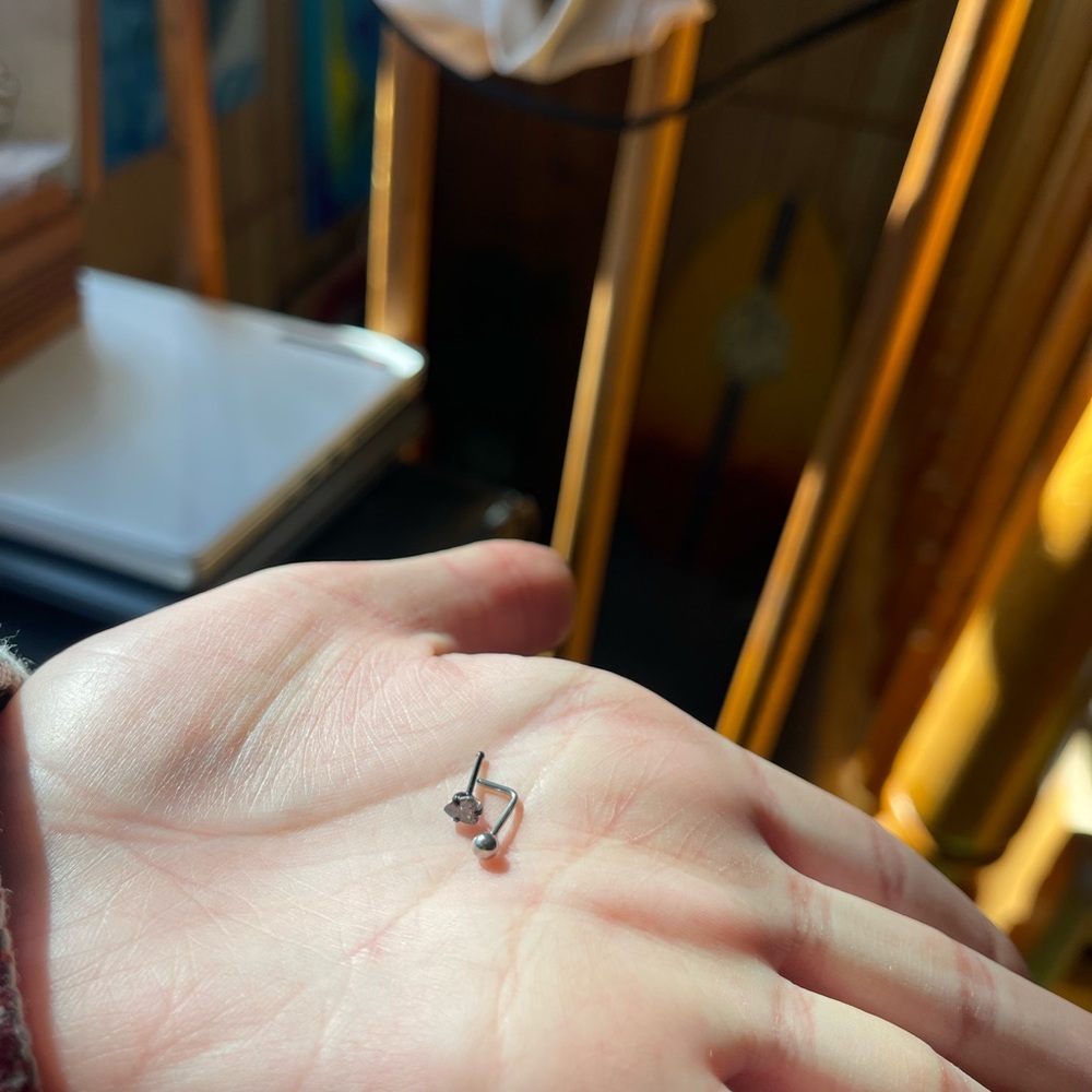 4 Nose Rings - Picture 9 of 12